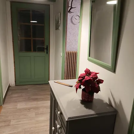 L'appart De Cecile Appartement Bellegarde-sur-Valserine